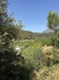 8-e64a9055bba3e77ac8aca3b893cdf826.jpg